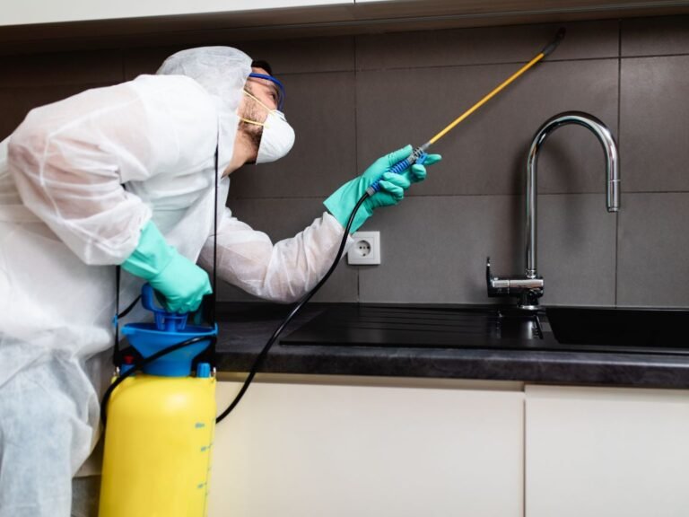 مكافحة الحشرات والقوارض في القاهرة والجيزة